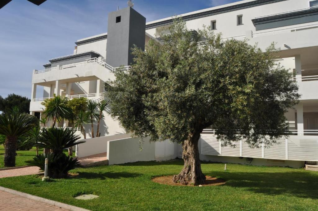 Oasis Hoyo 12 - Oliva Nova Playa Met&Golf Exterior foto